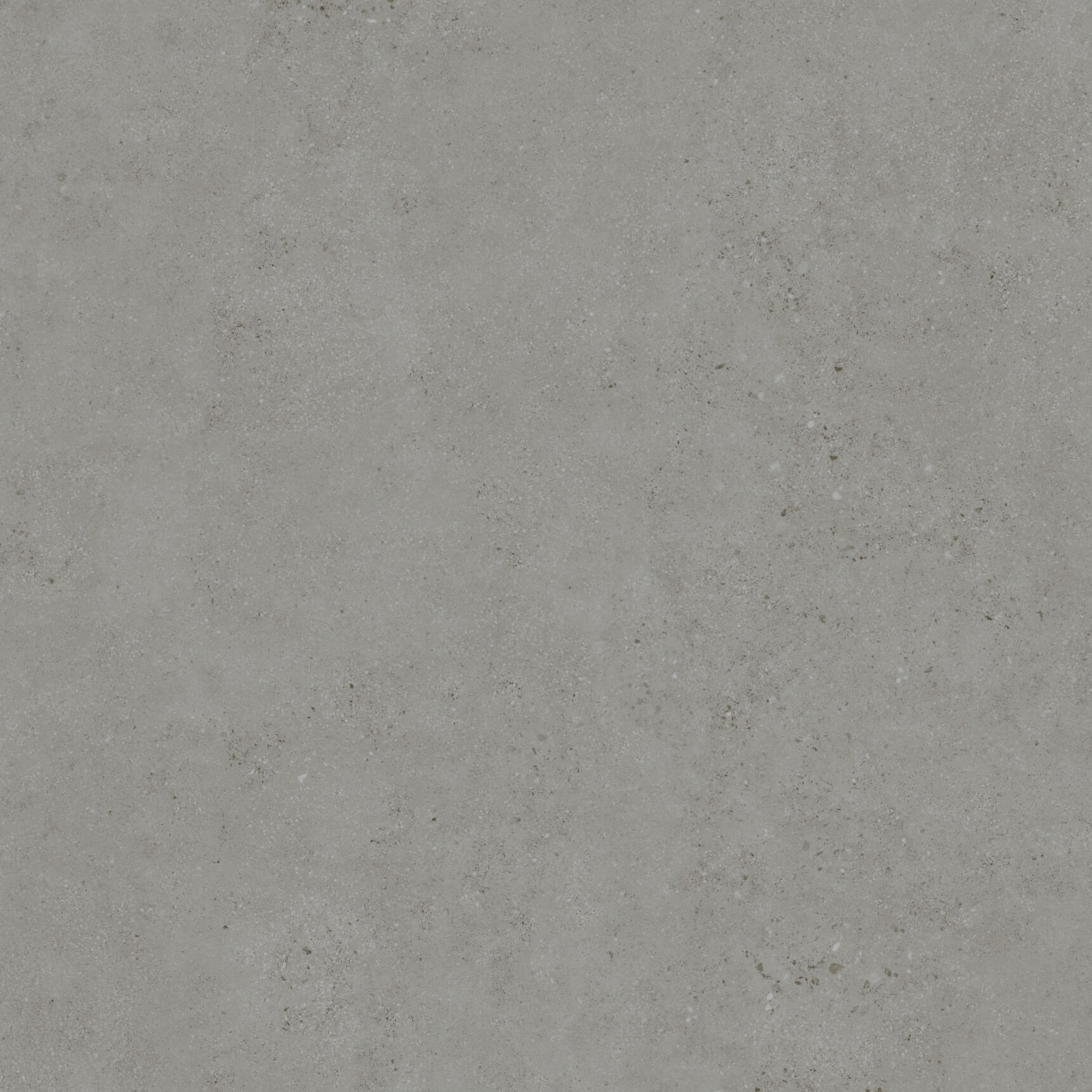30X60 Trend Light Grey Matt Rect