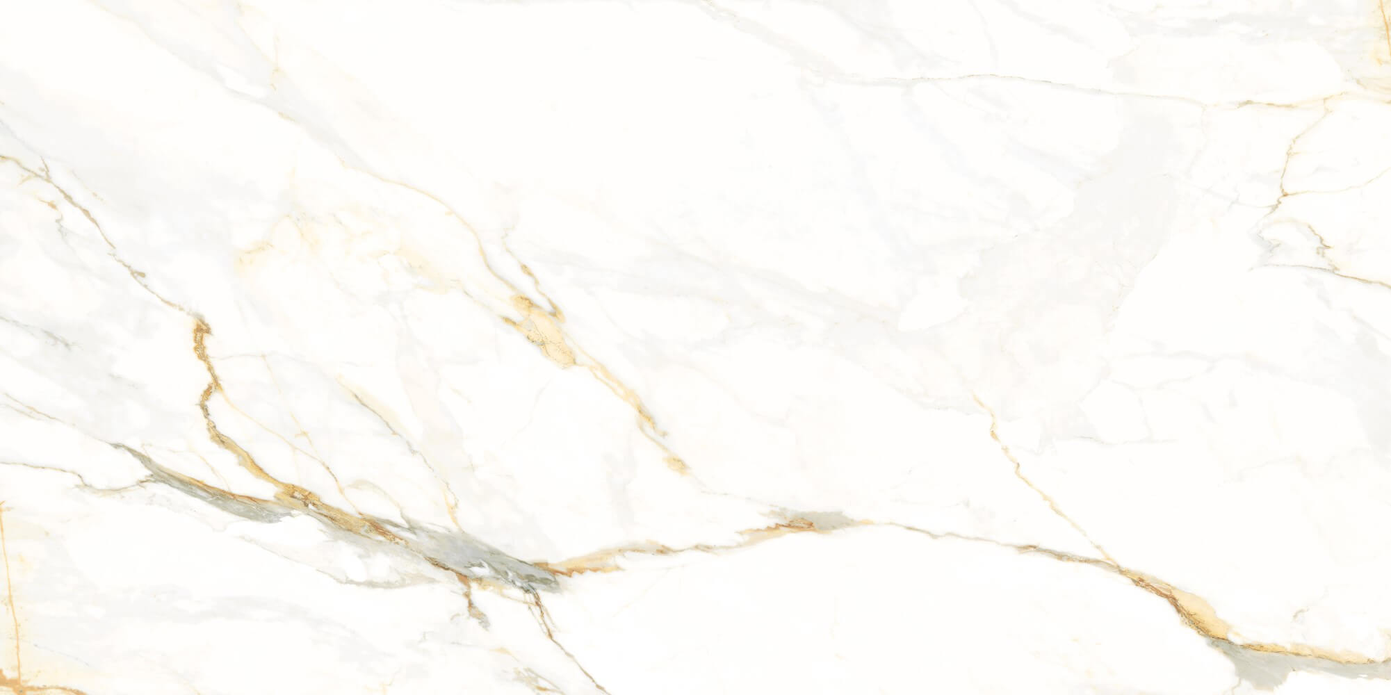 60X120 Calacatta Vagli Polished Rect