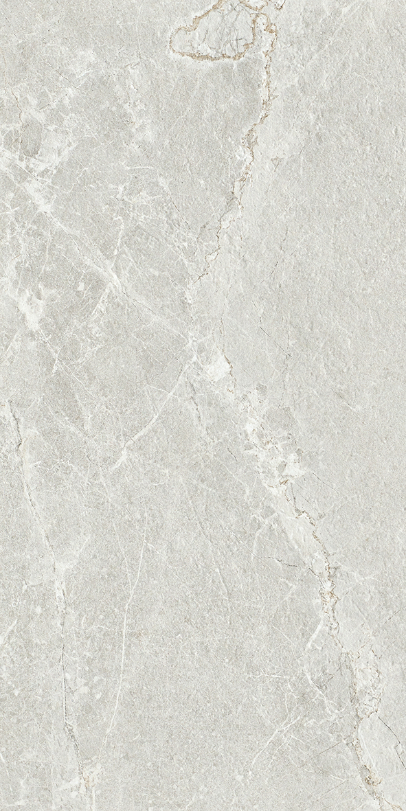 Ardesia Silver Honed 300x600