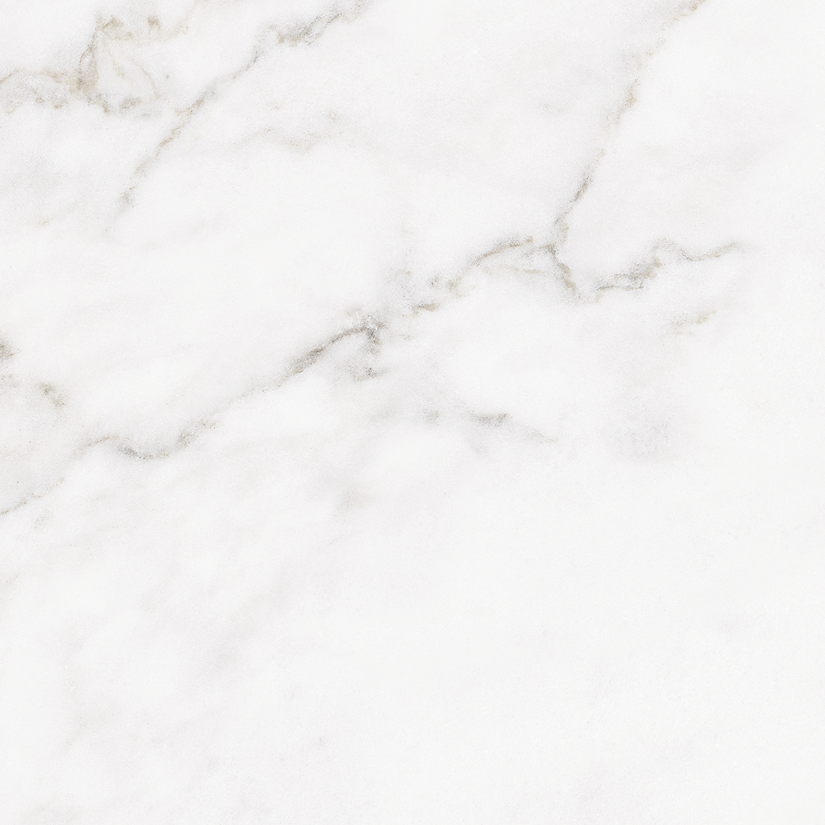 Galaxy Calacatta Gold Matt 300x300