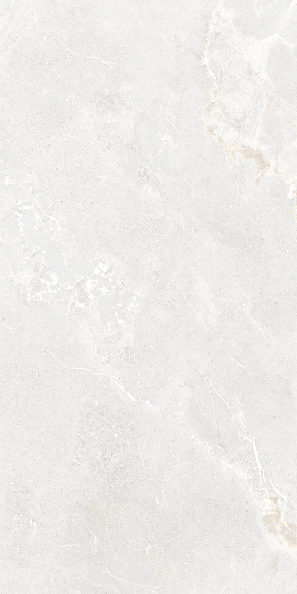 Ardesia Silver Honed 600x1200
