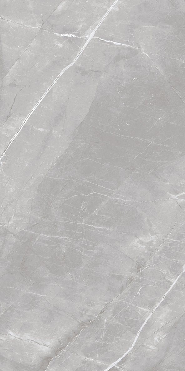 Armani Grey Polished 600x1200