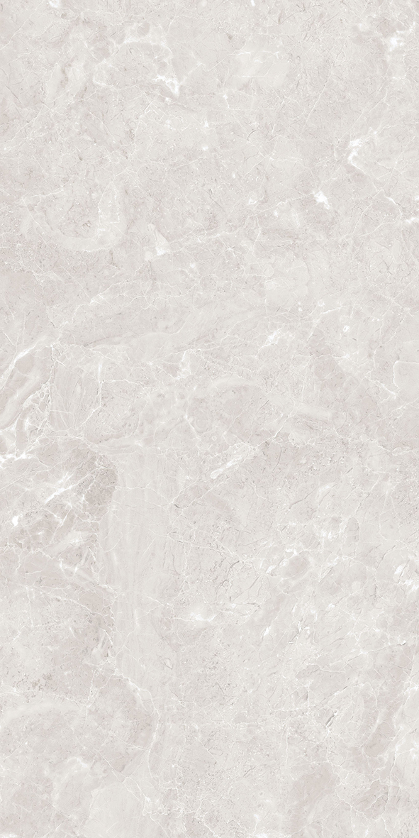 Armani Opal Gris Polished 600x1200