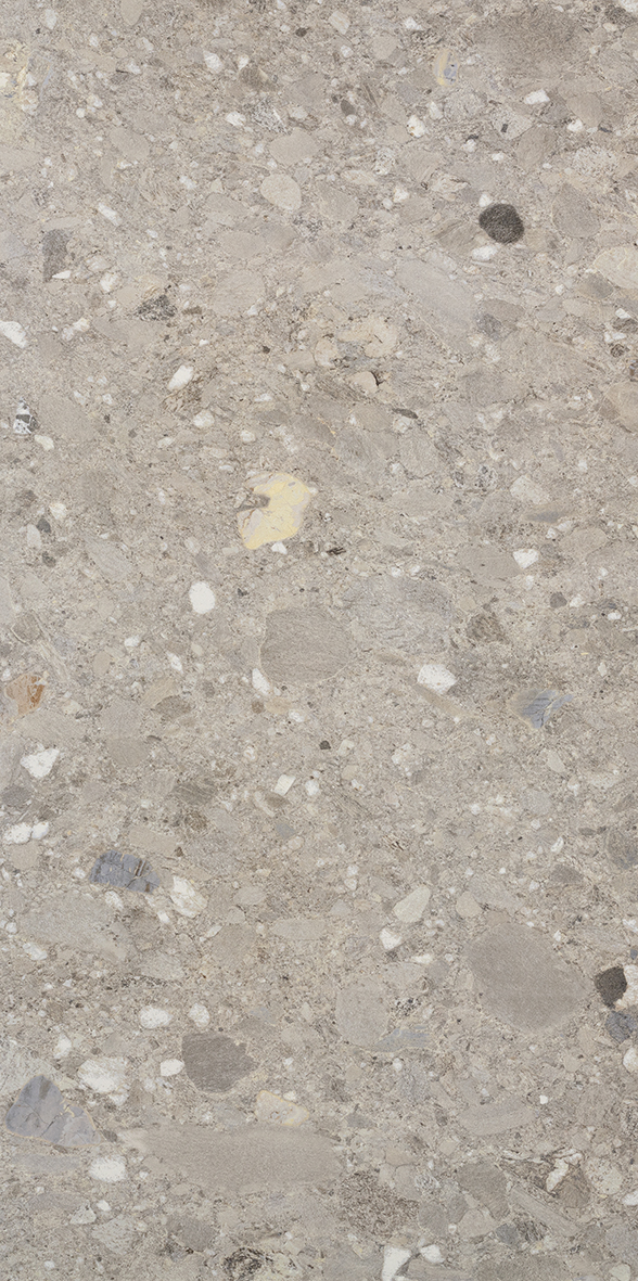 1077538- Ceppo Grigio Grey Matt P3 600x1200