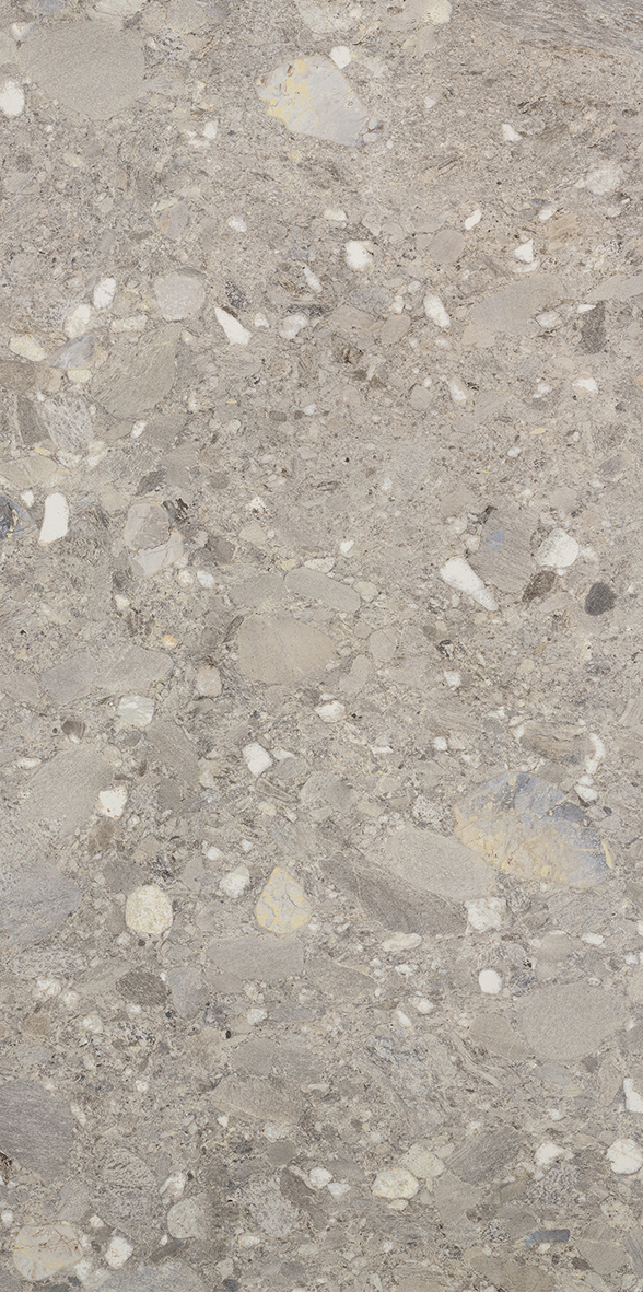 1077650- Ceppo Grigio Grey External P4 600x1200