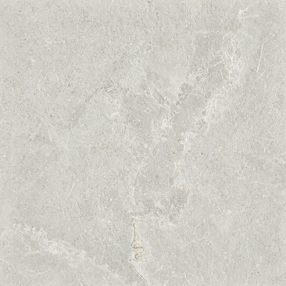 Ardesia Light Grey External P5 600x600