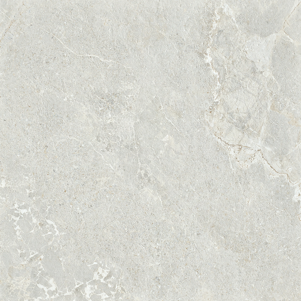 Ardesia Silver Honed 600x600