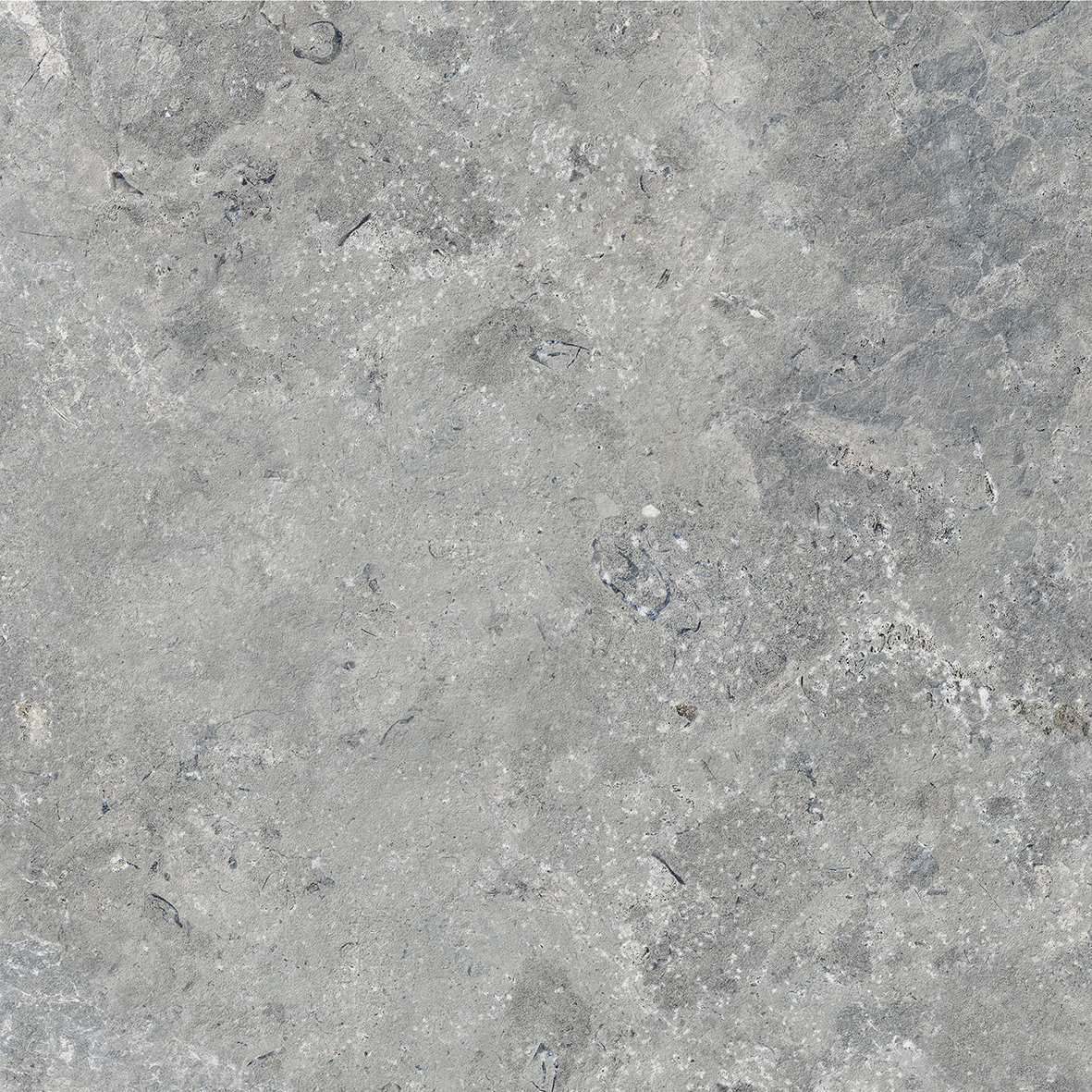 Karst-stone Grey Matt P4 600x600