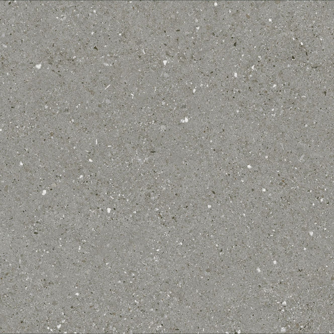 Prime Double Light Grey Matt 600x600
