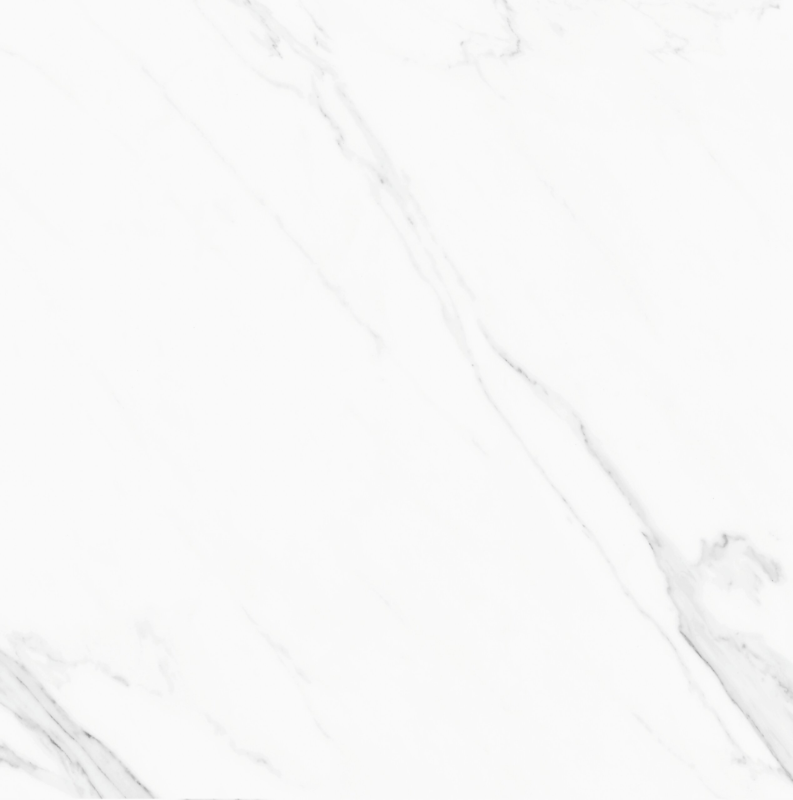 Prime Wanda Marble White Polished 600x600