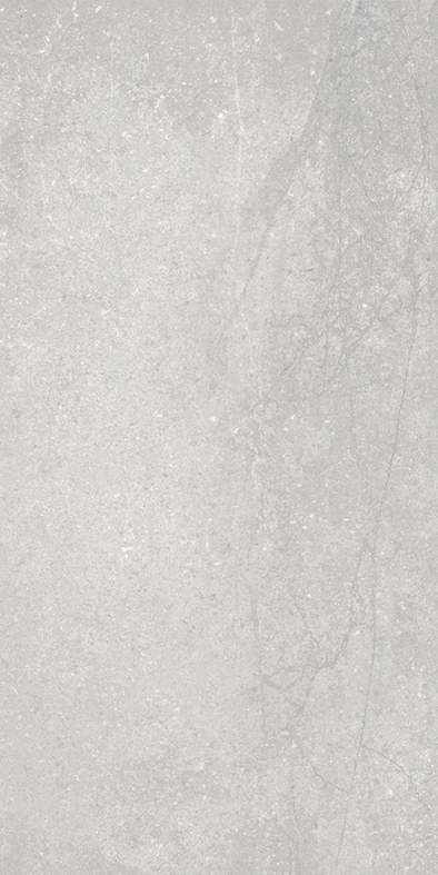 Astra Silver Gloss 300x600