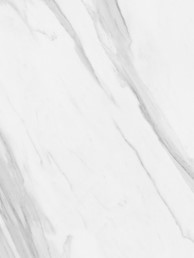 Catalina Montebello Statuario Gloss White 300x450