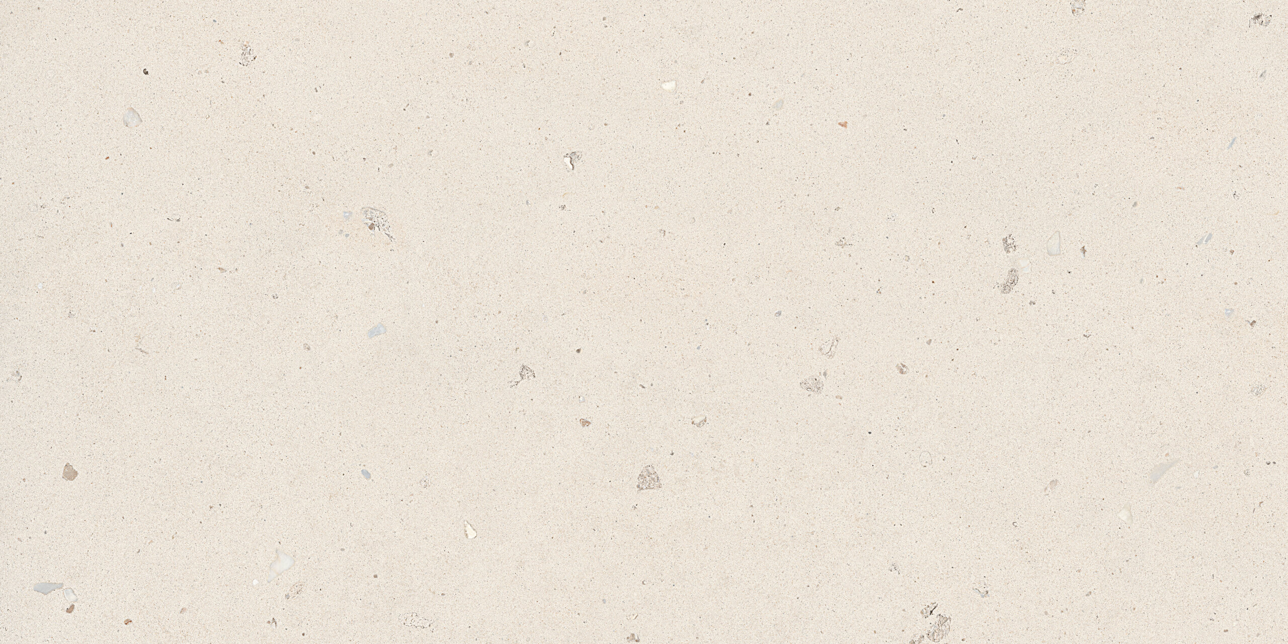 Shells 600x1200mm 3d Matt
